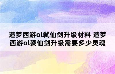 造梦西游ol弑仙剑升级材料 造梦西游ol戮仙剑升级需要多少灵魂